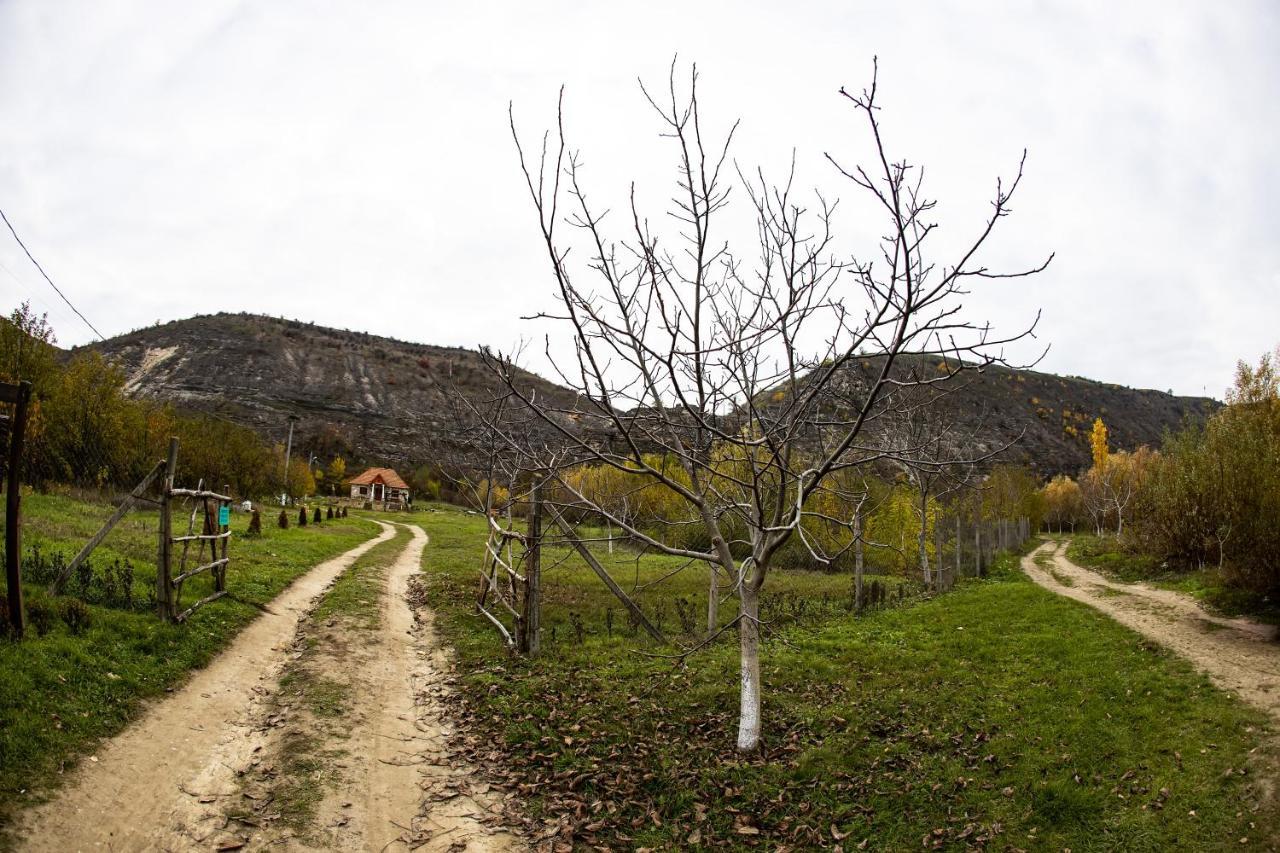 Casa Agricultorului Varzari Butuceny Exterior photo